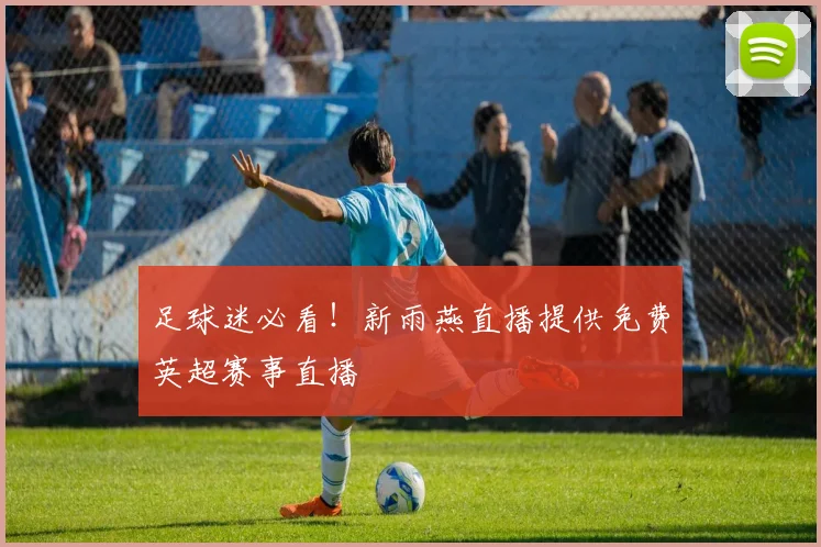 足球迷必看!新雨燕直播提供免费英超赛事直播